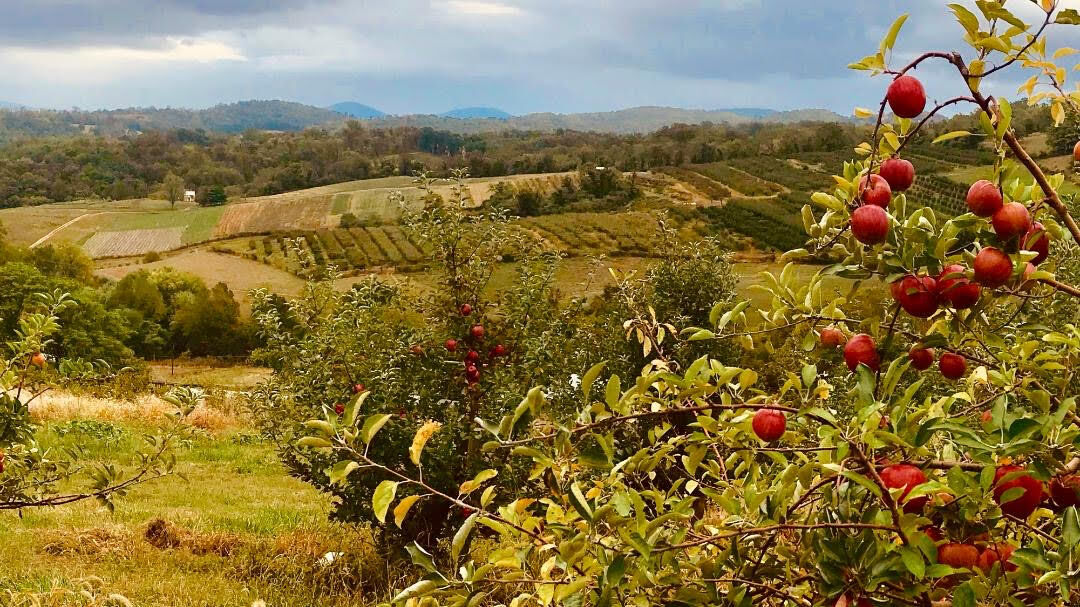 Photo_Lifestyles_Hollin Farm.jpg